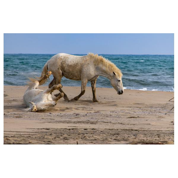 PHOTO84, CLUB, 84 , LUBERON