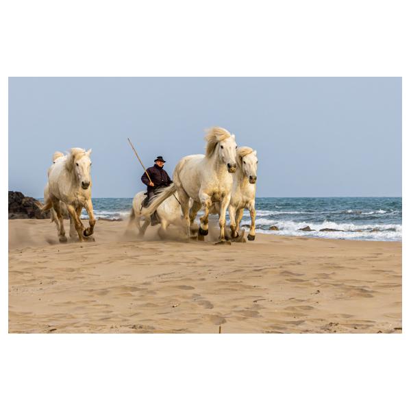 PHOTO84, CLUB, 84 , LUBERON