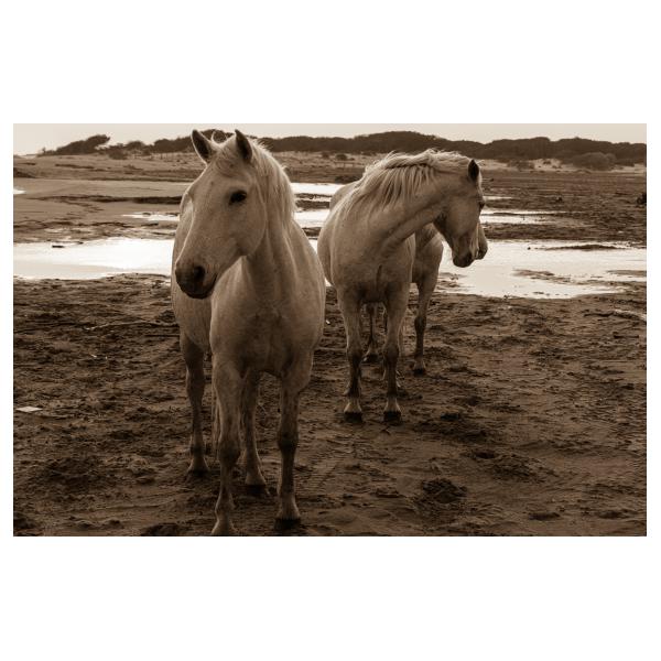 PHOTO84, CLUB, 84 , LUBERON