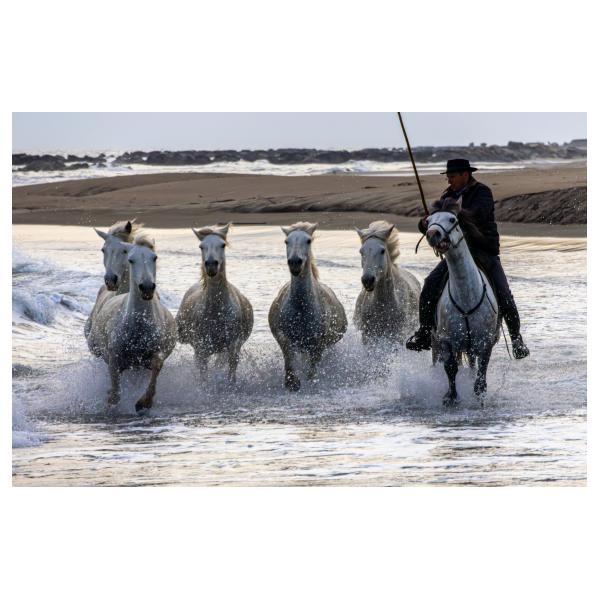 PHOTO84, CLUB, 84 , LUBERON