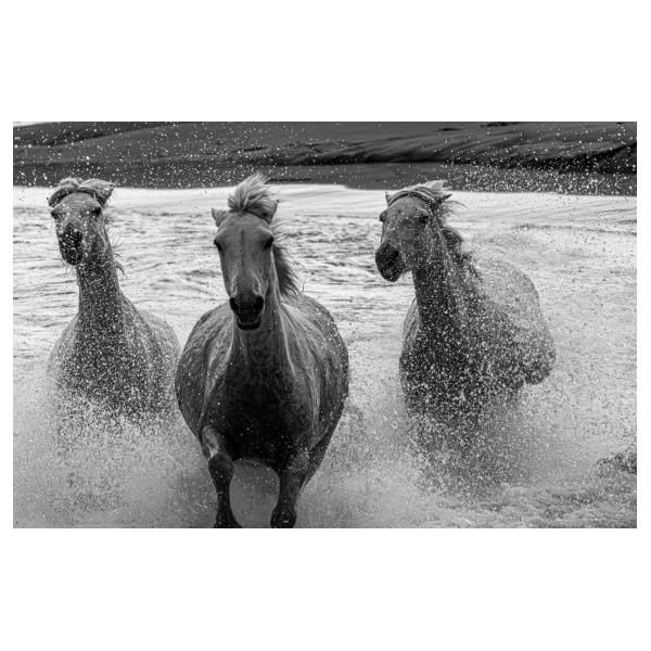 PHOTO84, CLUB, 84 , LUBERON