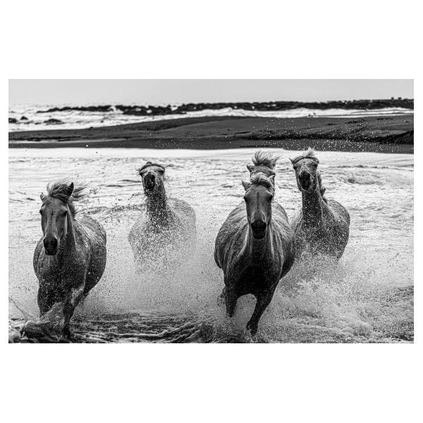 PHOTO84, CLUB, 84 , LUBERON