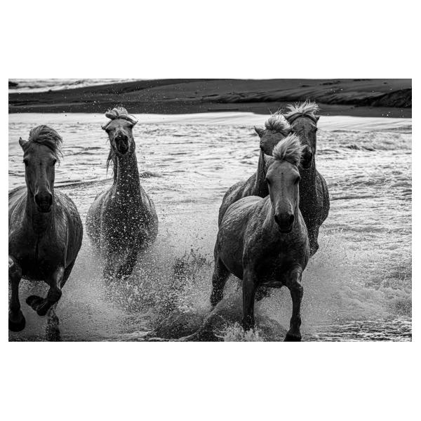 PHOTO84, CLUB, 84 , LUBERON