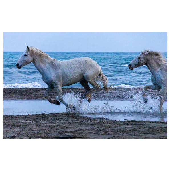 PHOTO84, CLUB, 84 , LUBERON