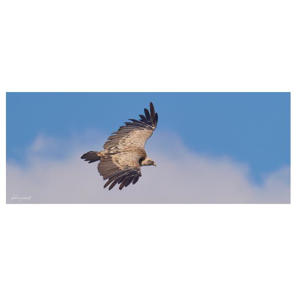 PHOTO84, CLUB, 84 , LUBERON