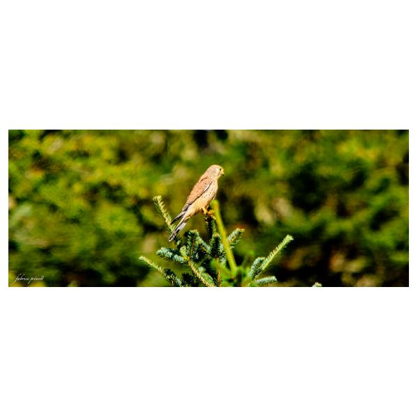 PHOTO84, CLUB, 84 , LUBERON