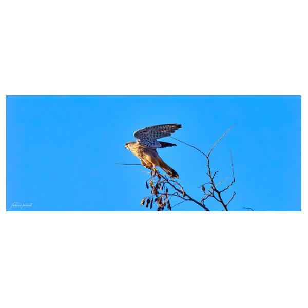 PHOTO84, CLUB, 84 , LUBERON