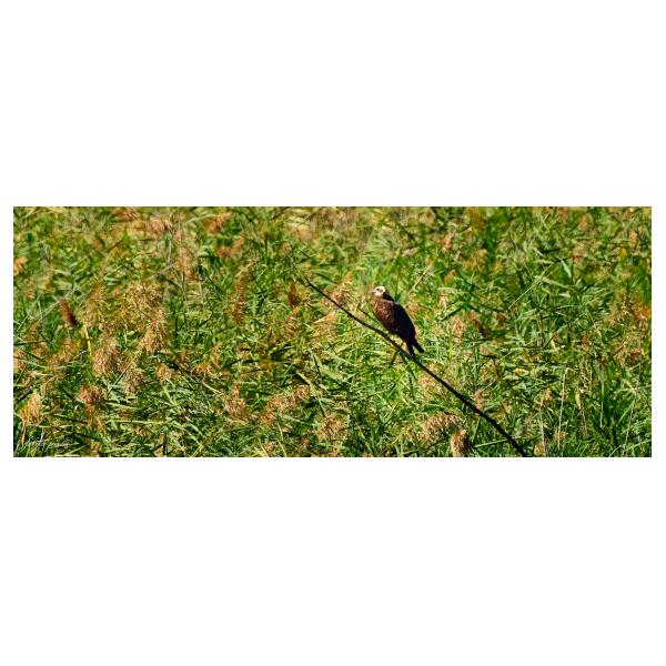 PHOTO84, CLUB, 84 , LUBERON