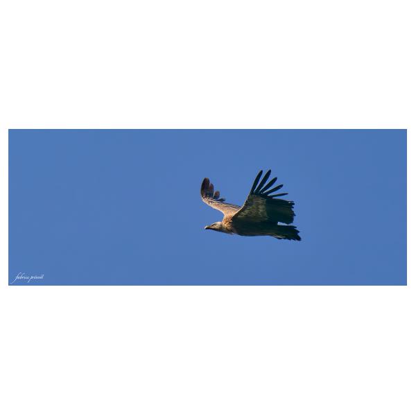 PHOTO84, CLUB, 84 , LUBERON