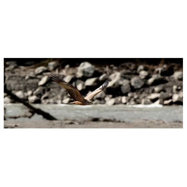 PHOTO84, CLUB, 84 , LUBERON