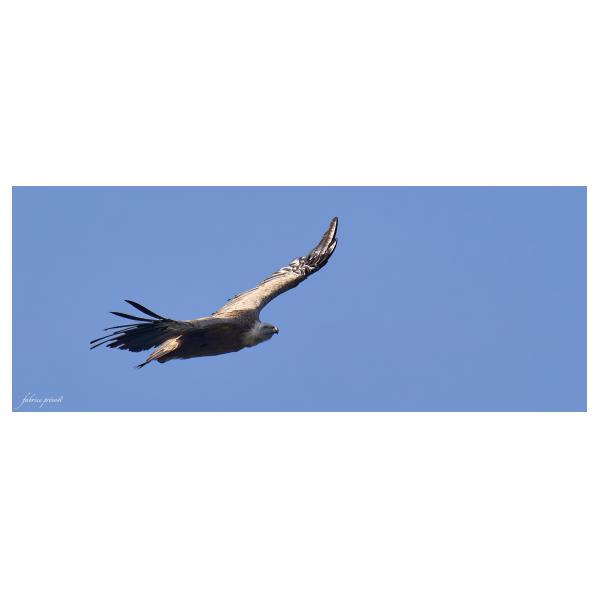 PHOTO84, CLUB, 84 , LUBERON