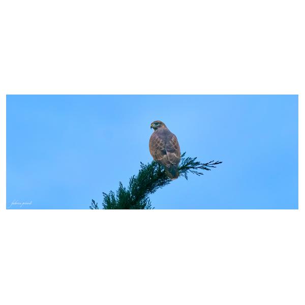 PHOTO84, CLUB, 84 , LUBERON