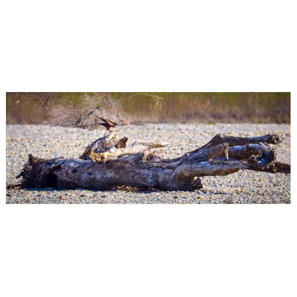 PHOTO84, CLUB, 84 , LUBERON