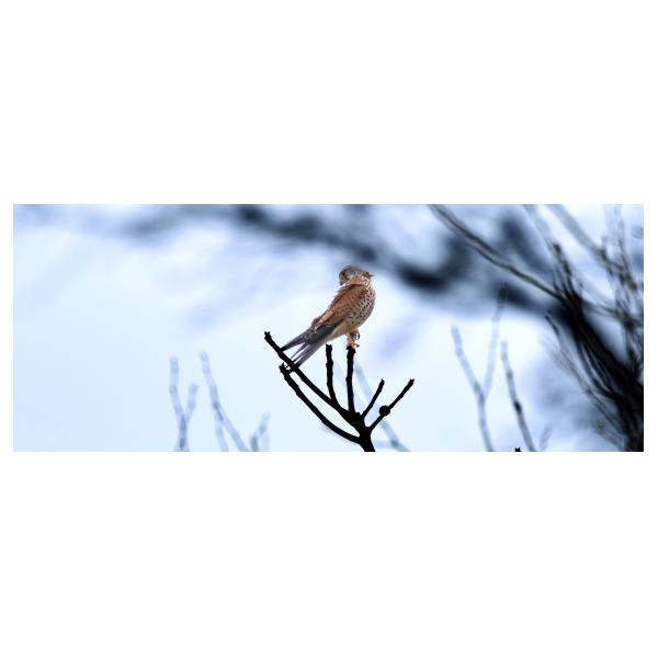 PHOTO84, CLUB, 84 , LUBERON