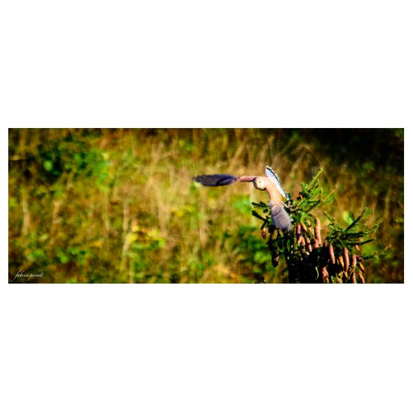 PHOTO84, CLUB, 84 , LUBERON