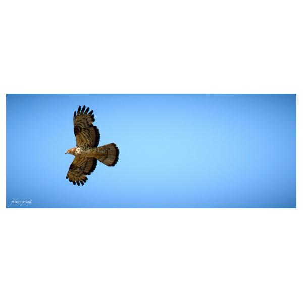 PHOTO84, CLUB, 84 , LUBERON