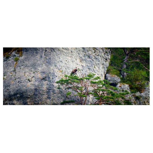 PHOTO84, CLUB, 84 , LUBERON