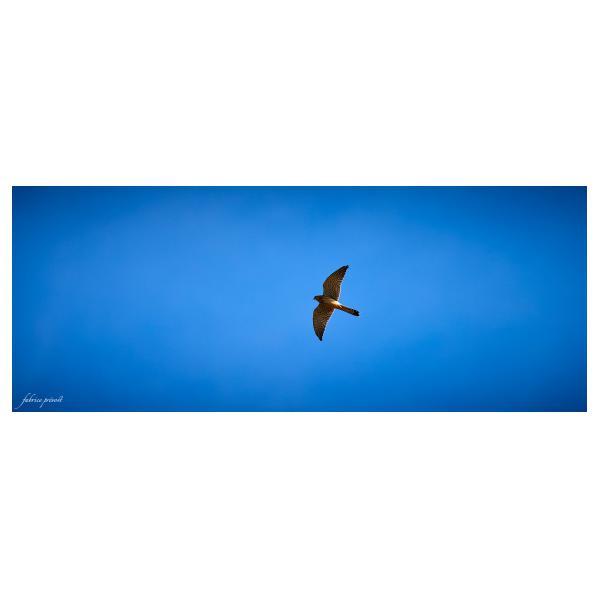 PHOTO84, CLUB, 84 , LUBERON