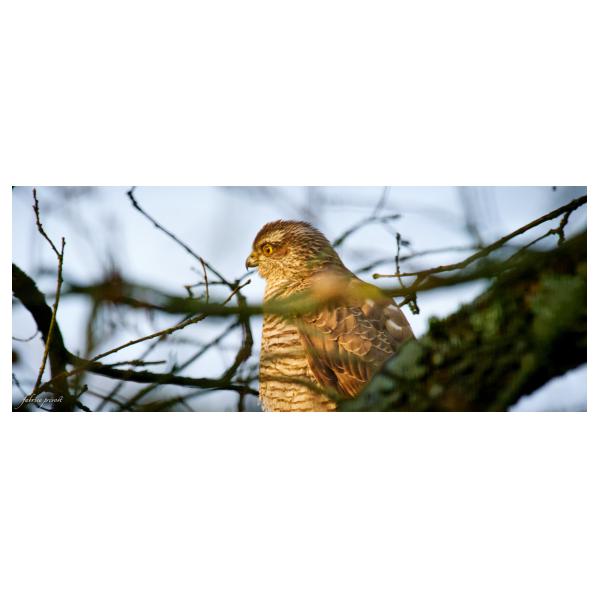 PHOTO84, CLUB, 84 , LUBERON