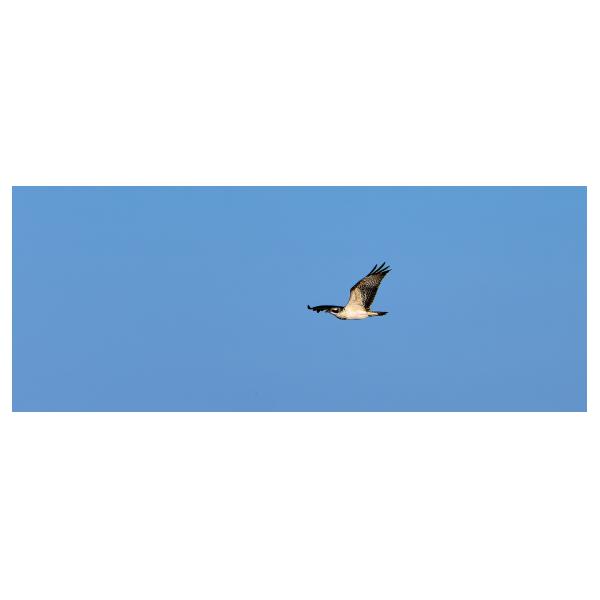 PHOTO84, CLUB, 84 , LUBERON