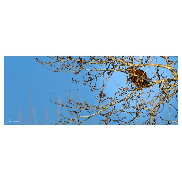 PHOTO84, CLUB, 84 , LUBERON