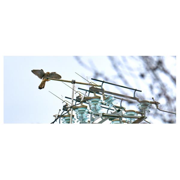 PHOTO84, CLUB, 84 , LUBERON